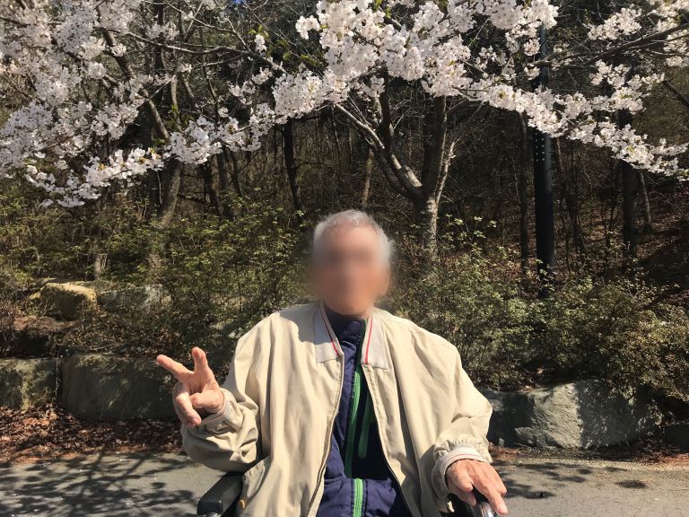 벚꽃 구경~&hearts;